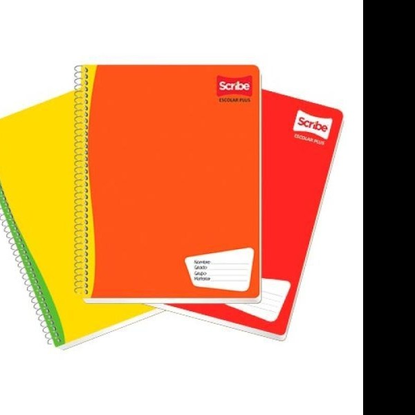 CUADERNO PROF. ESCOLAR SCRIBE 7974 D.RAYA ESP.100H. C36